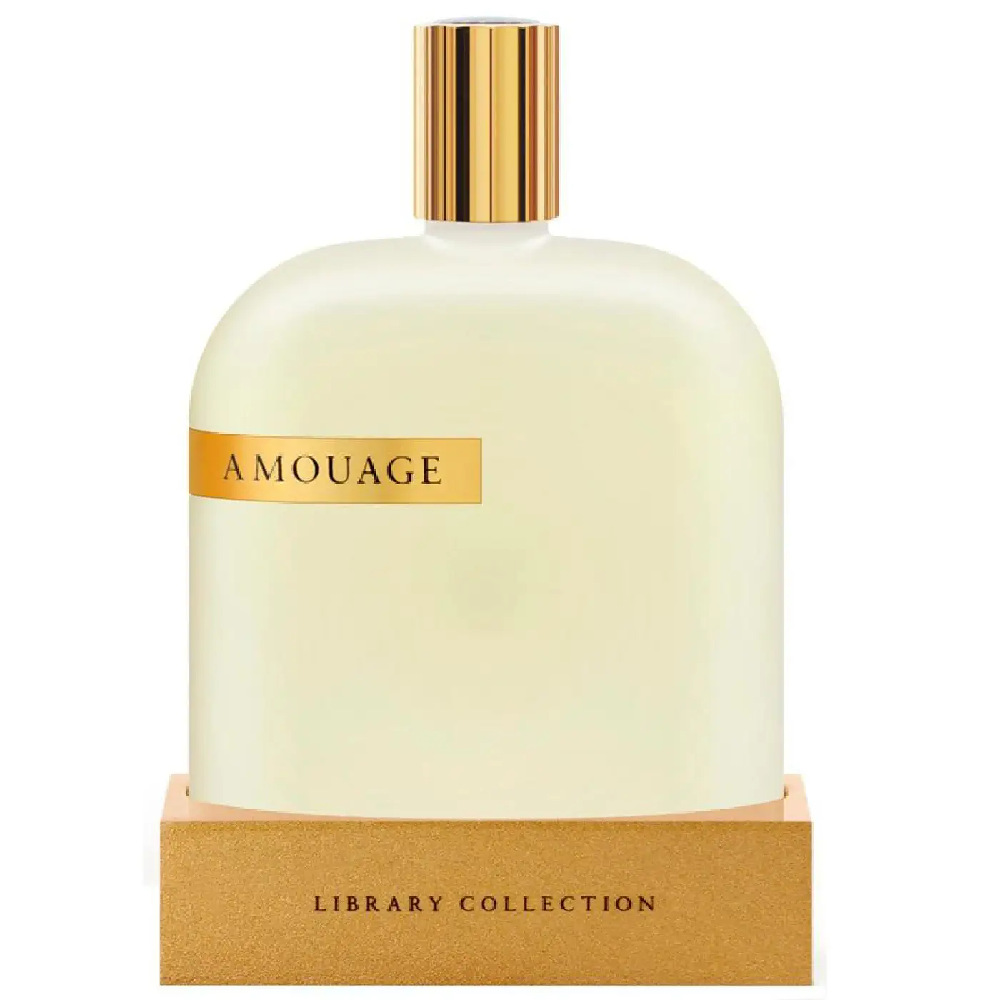 AMOUAGE-LIBRARY-COLLECTION-OPUS-VI-UNISEX-EDP-100ml.