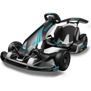 Segway Ninebot Electric Gokart Pro 2 Racing Scooter
